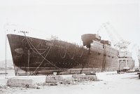 Conte di Savoia